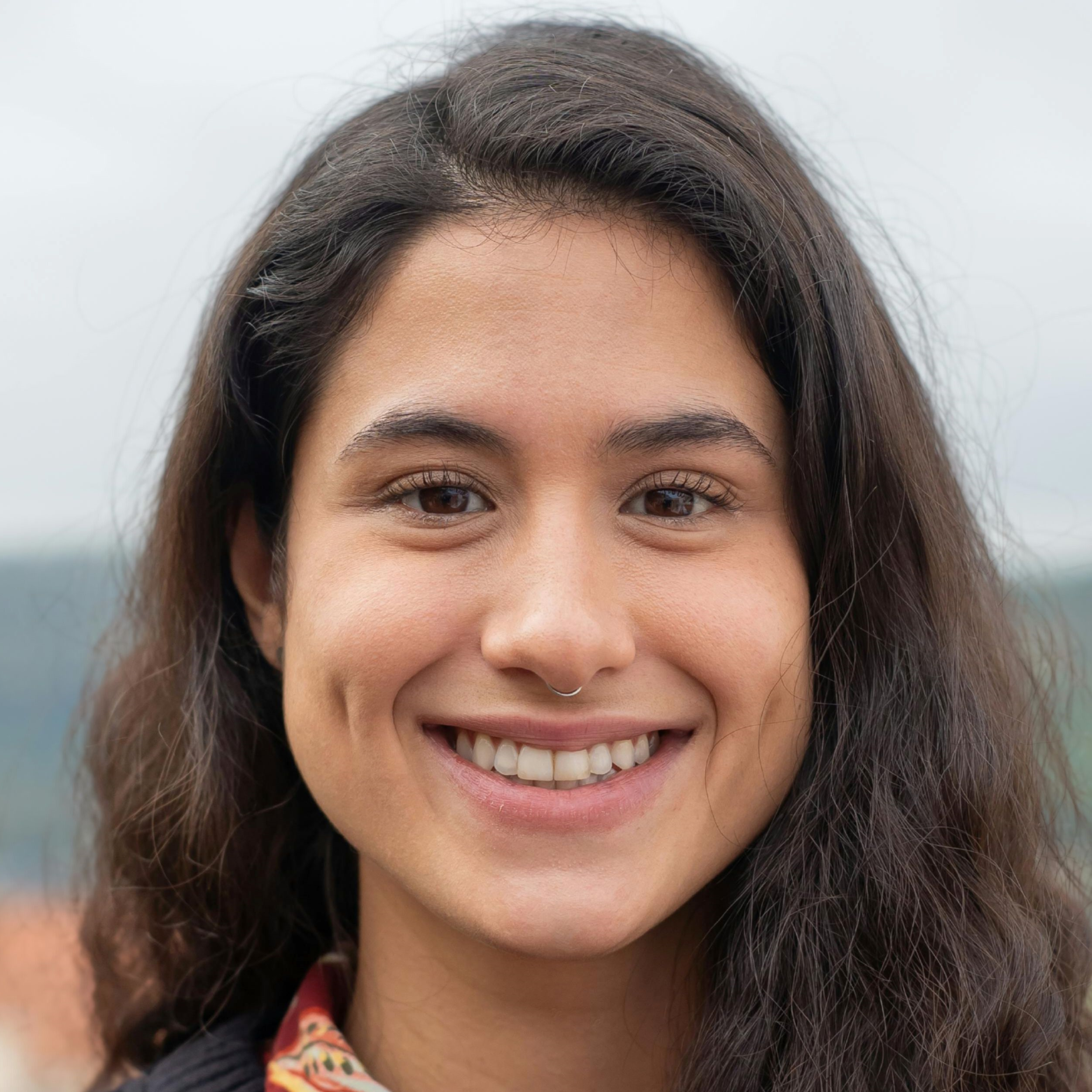 Testimonio principal